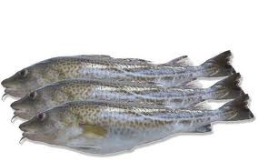 Bacalao Entero