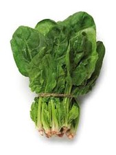 Espinaca.