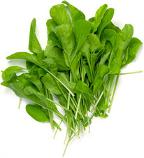 Arúgula.