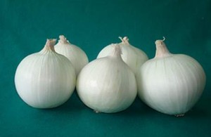 Cebolla Blanca