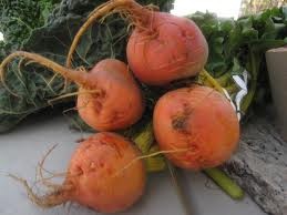 Betabel amarillo o dorado.