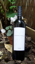 PASOS LARGOS 2005