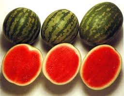 Sandia sin semilla
