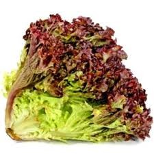 Lechuga Francesa Morada,pieza.