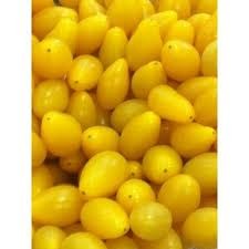 Jitomate Uvita Amarillo (domo)