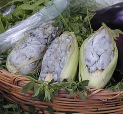Huitlacoche