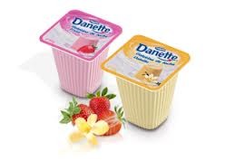 Danette  gelatina de leche 100 grs