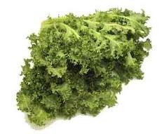 Lechuga Frisee,pieza.