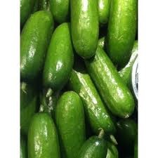 Pepino baby